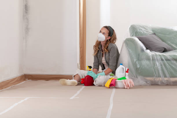 Reliable Mold Inspection contractor in Point Pleasant, NJ by WQB Mold Removal